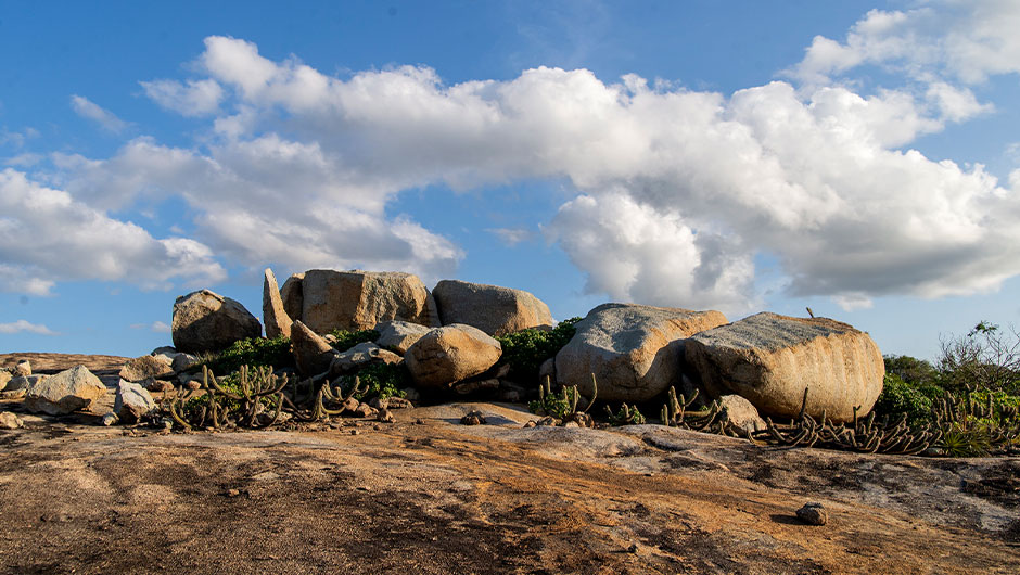 Natural Cotton Color - Conceito