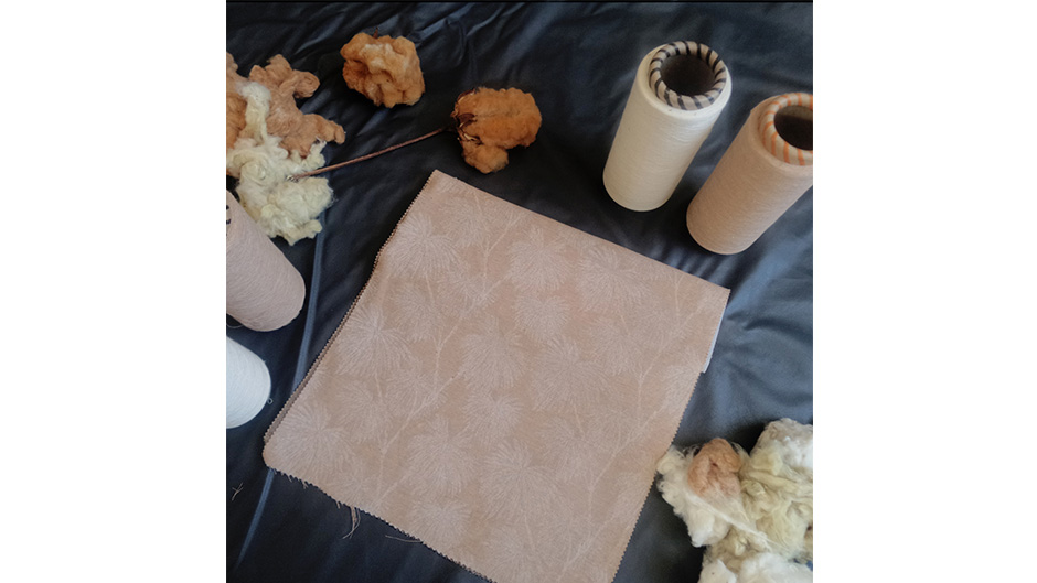 Venda de tecidos de algod&atilde;o org&acirc;nico